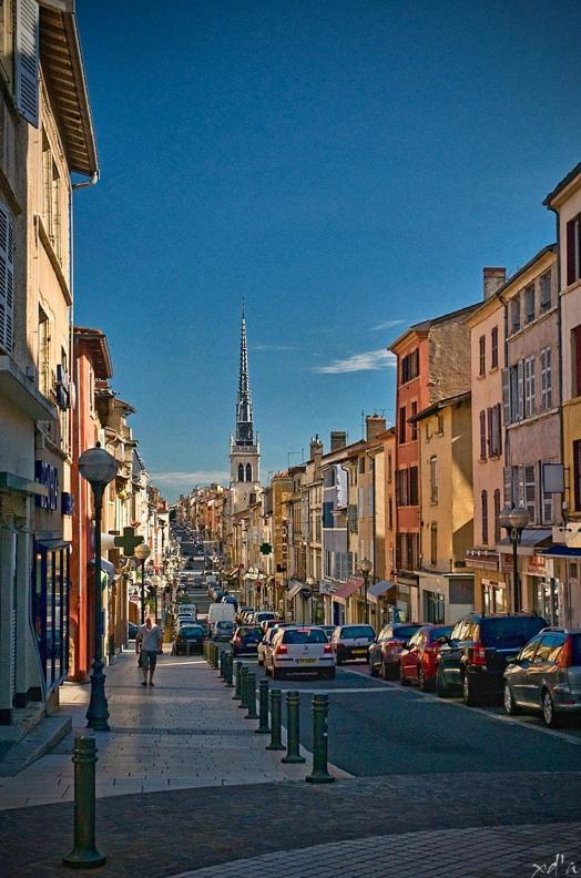 Le Cosy Twin Lejlighed Villefranche-sur-Saône Eksteriør billede